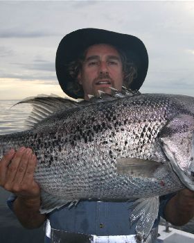 another nice dhu