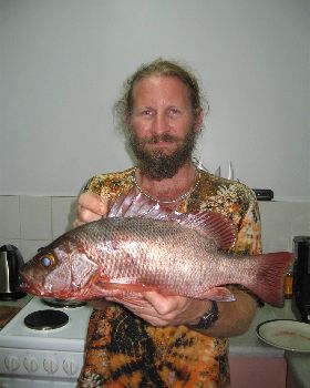 I'd hate to be a mullet!