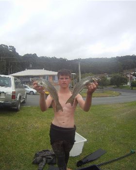 big whiting