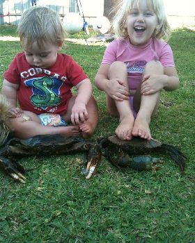 Kids Muddies