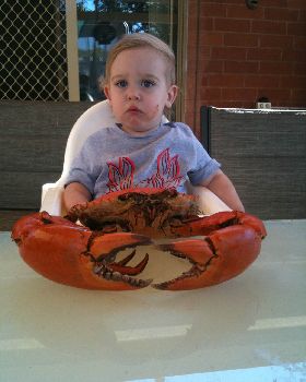 The Boy