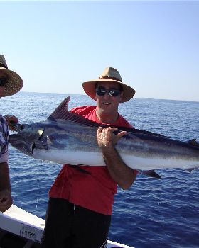 Another Dampier Marlin