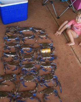 Abbeys first haul