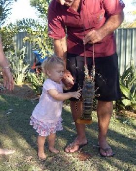 cray catcher