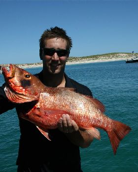 Speared Monties Jack