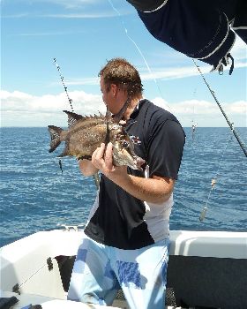 boar fish speared off mandurah 32m