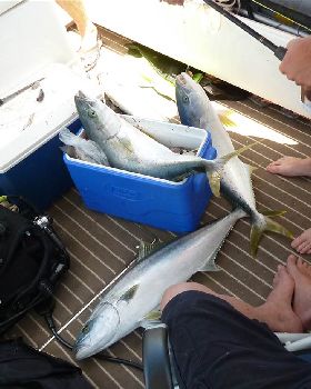 good day off mandurah
