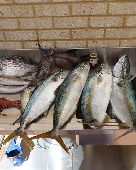 good day off mandurah
