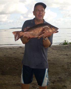 Another Komoran River Mangrove Jack