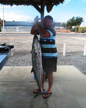 Great Mackeral