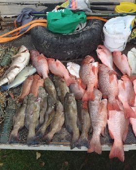 good day out