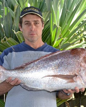 The Magnificent Moreton Bay