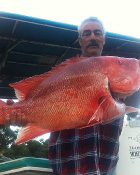 my pb