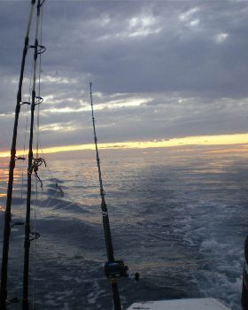 Fishing