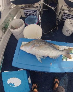 Fishing