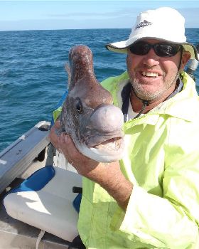 the ulgly snapper