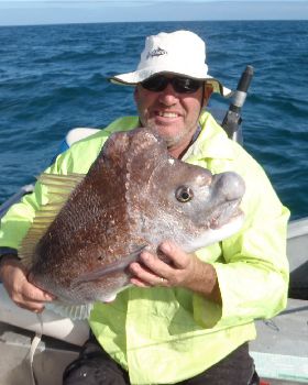 honky snapper