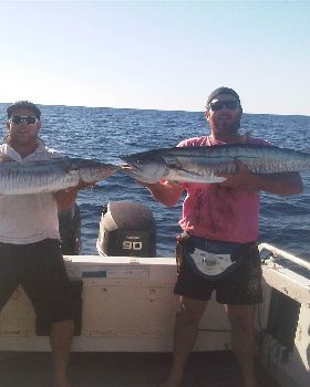 nice spaniards