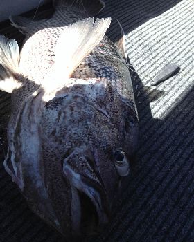 Fishing