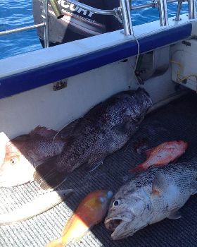 Fishing