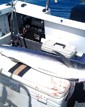 My First Marlin
