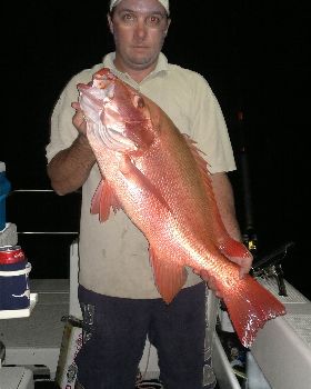 brent 613