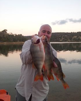 perch