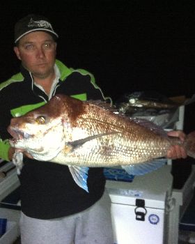 Snapper