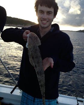 Flathead over the seaweed meadows