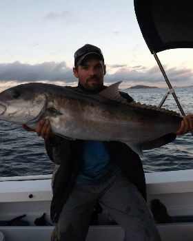 Another Shallow Water Sambo caught off the coast of Esperance
