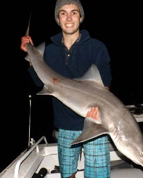 Night fishing 17kg Gummy
