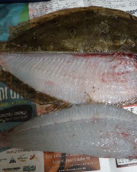 flounder fillets