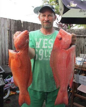 Mixed bag of goodies
