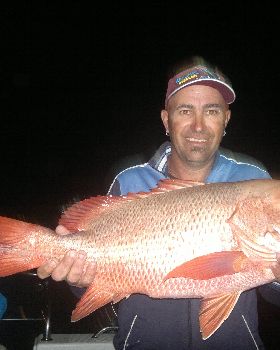 mangrove jack 008
