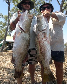 ocean cat barra