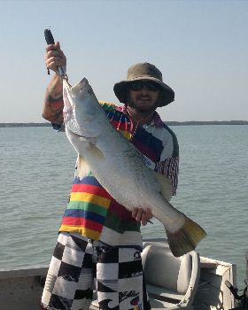 ocean cat barra