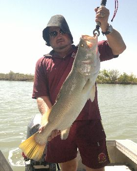 ocean cat barra