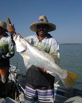 ocean cat barra