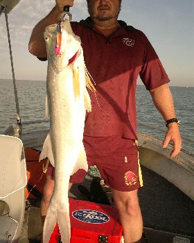 ocean cat barra