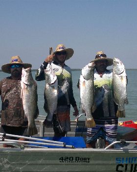 ocean cat barra