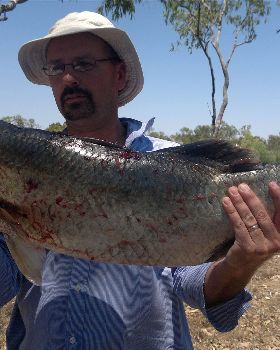 ocean cat barra
