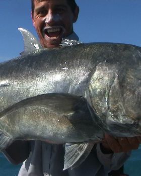 Caught and Released