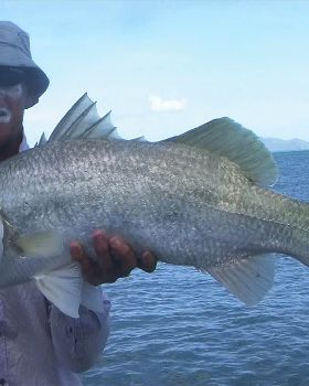 Caught and Released