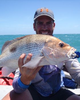 Caught and Released