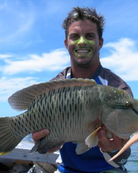 Caught and Released