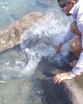 Caught and Released
