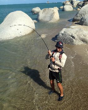Caught and Released