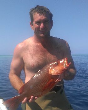Mangrove Jack Speared