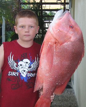 9.2 Kg