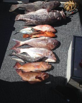 Fishing